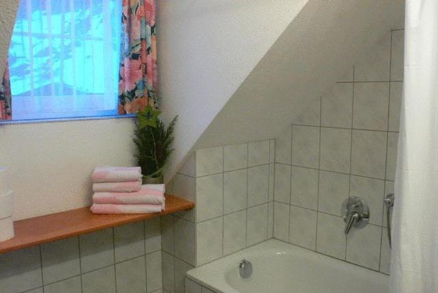 Apartment Maximilian